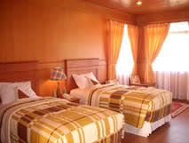Bintan Agro Beach Resort Superior Room