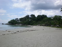 Bintan Agro Beach