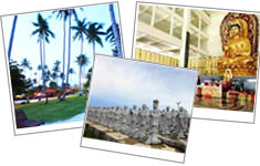 2D1N Bintan Cabana Resort with Half Day Bintan Tour
