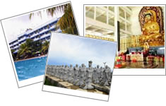 2D1N Pelangi Hotel with Half Day Bintan Tour