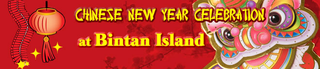 Chinese New Year 2011 Bintan Package