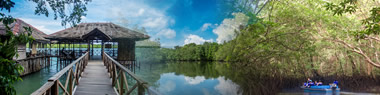 Day / Night Mangrove Tour Package