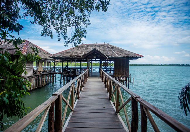 Day / Night Mangrove Tour